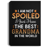 I Am Not Spoiled I Just Have The Best Grandma In The World - Canvas Portrait