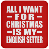 All I Want For Christmas Is My English Setter - Coaster