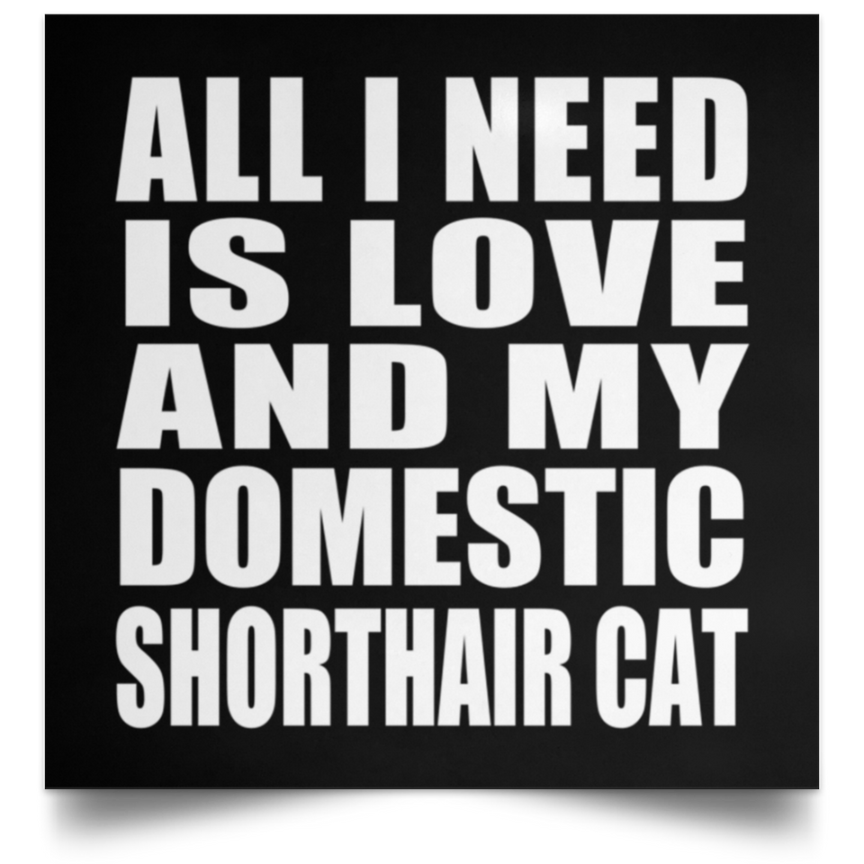 All I Need Is Love And My Domestic Shorthair Cat - Poster Square