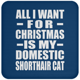 All I Want For Christmas Is My Domestic Shorthair Cat - Coaster