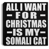 All I Want For Christmas Is My Somali Cat - Canvas Square