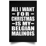 All I Want For Christmas Is My Belgian Malinois - Poster Portrait