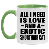 All I Need Is Love And A Exotic Shorthair Cat - 11oz Accent Mug Green