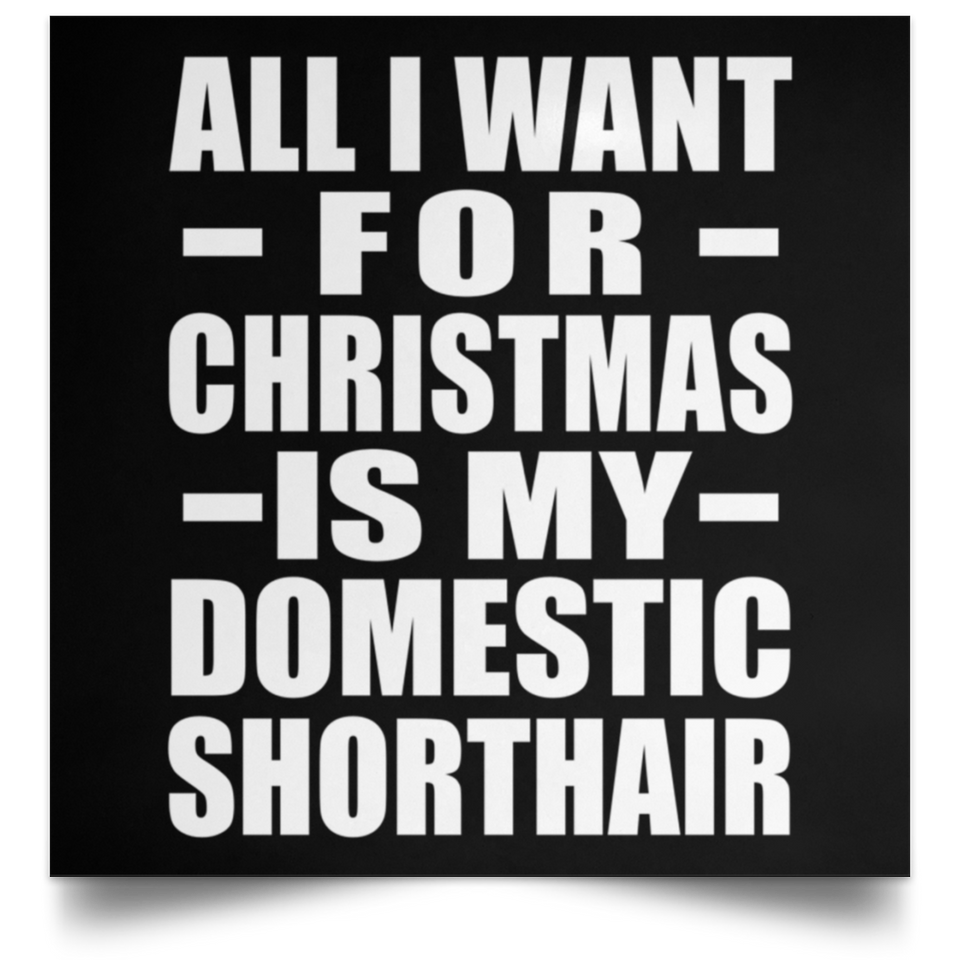 All I Want For Christmas Is My Domestic Shorthair - Poster Square