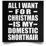 All I Want For Christmas Is My Domestic Shorthair - Poster Square