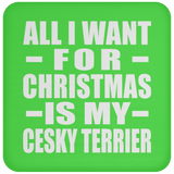 All I Want For Christmas Is My Cesky Terrier - Coaster