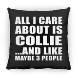 All I Care About Is Collie - Throw Pillow Black