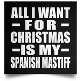 All I Want For Christmas Is My Spanish Mastiff - Poster Square