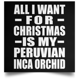 All I Want For Christmas Is My Peruvian Inca Orchid - Poster Square