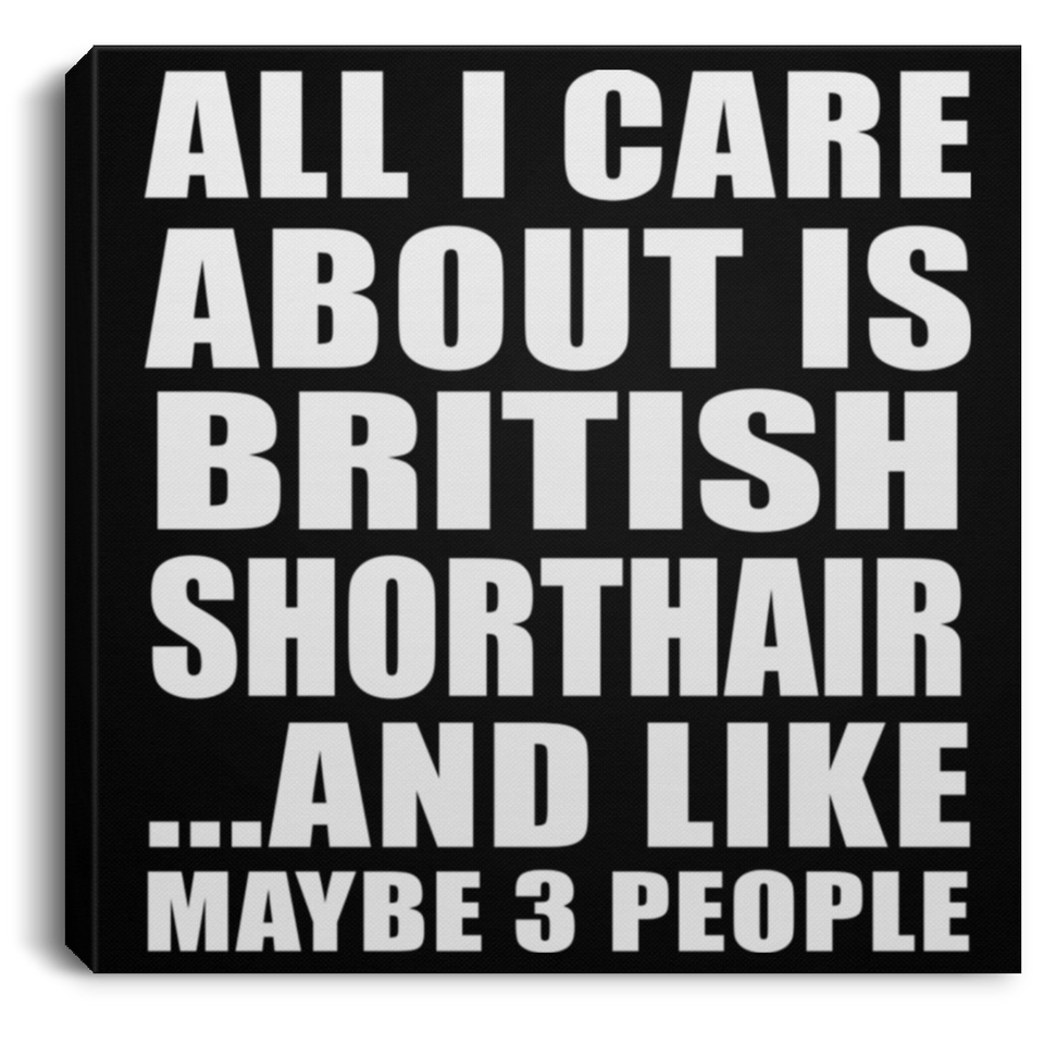 All I Care About Is British Shorthair - Canvas Square