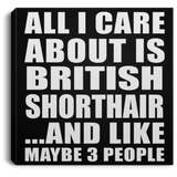 All I Care About Is British Shorthair - Canvas Square