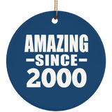 24th Birthday Amazing Since 2000 - Circle Ornament