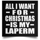 All I Want For Christmas Is My Laperm - Poster Square