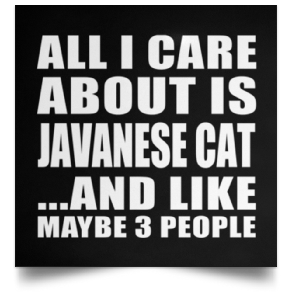 All I Care About Is Javanese Cat - Poster Square