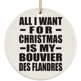 All I Want For Christmas Is My Bouvier Des Flandres - Circle Ornament