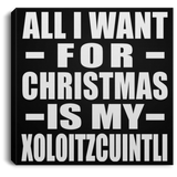 All I Want For Christmas Is My Xoloitzcuintli - Canvas Square