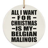 All I Want For Christmas Is My Belgian Malinois - Circle Ornament