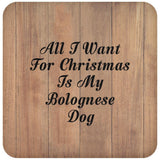 All I Want For Christmas Is My Bolognese Dog - Drink Coaster C