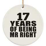 17th Anniversary 17 Years Of Being Mr Right - Circle Ornament