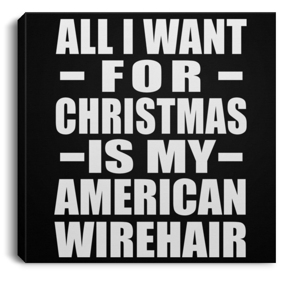 All I Want For Christmas Is My American Wirehair - Canvas Square