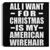 All I Want For Christmas Is My American Wirehair - Canvas Square