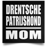 Drentsche Patrijshond Mom - Poster Square