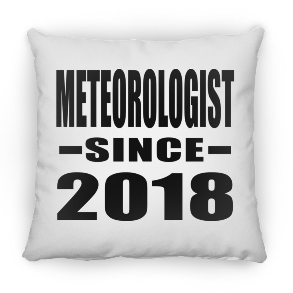Meteorologist Since 2018 - Throw Pillow