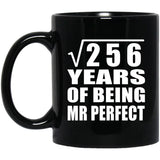 16th Anniversary Square Root of 256 Years of Mr Perfect - 11oz Coffee Mug Black