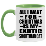 All I Want For Christmas Is My Exotic Shorthair Cat - 11oz Accent Mug Green