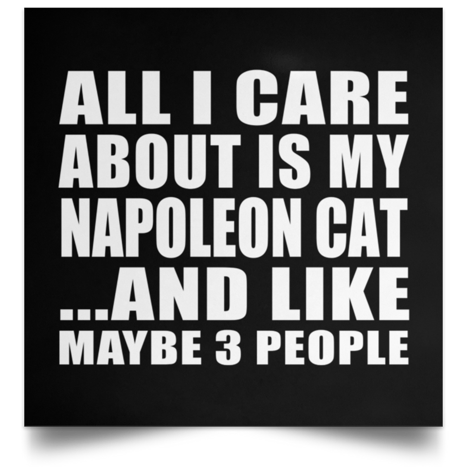 All I Care About Is My Napoleon Cat - Poster Square