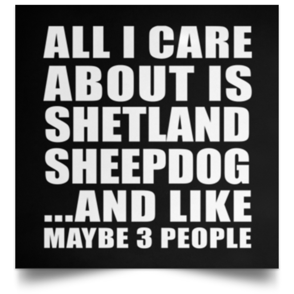 All I Care About Is Shetland Sheepdog - Poster Square