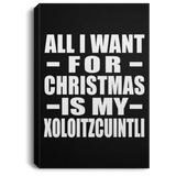 All I Want For Christmas Is My Xoloitzcuintli - Canvas Portrait