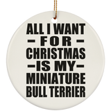 All I Want For Christmas Is My Miniature Bull Terrier - Circle Ornament