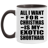 All I Want For Christmas Is My Exotic Shorthair - 11oz Accent Mug Black