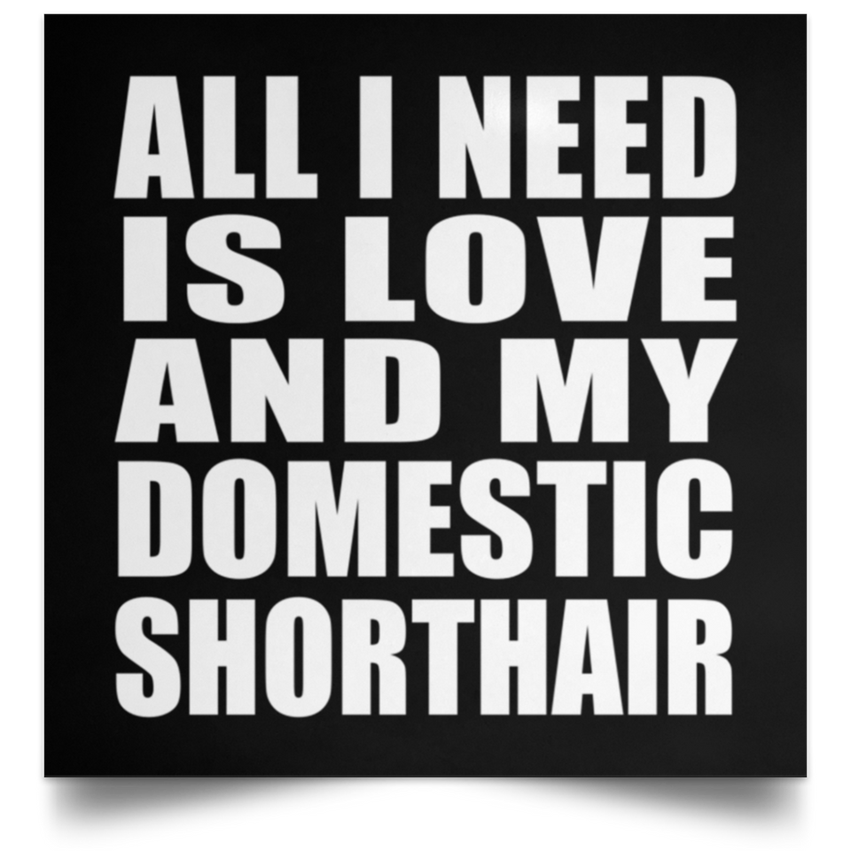 All I Need Is Love And My Domestic Shorthair - Poster Square