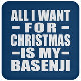 All I Want For Christmas Is My Basenji - Coaster