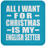All I Want For Christmas Is My English Setter - Coaster