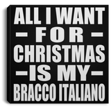 All I Want For Christmas Is My Bracco Italiano - Canvas Square