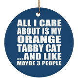 All I Care About Is My Orange Tabby Cat - Circle Ornament