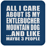 All I Care About Is My Entlebucher Mountain Dog - Drink Coaster