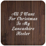 All I Want For Christmas Is My Lancashire Heeler - Drink Coaster D