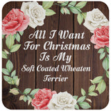 All I Want For Christmas Is My Soft Coated Wheaten Terrier - Drink Coaster A