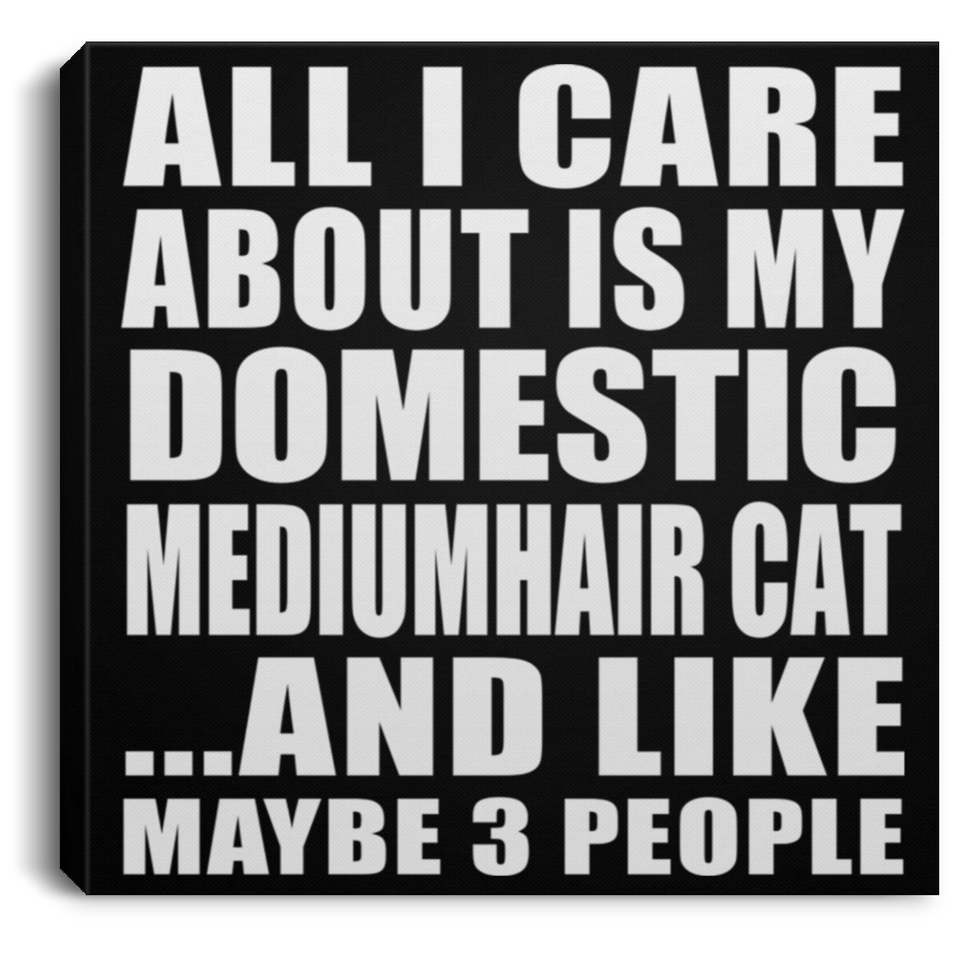 All I Care About Is My Domestic Mediumhair Cat - Canvas Square