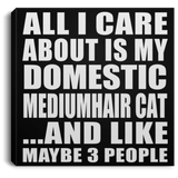 All I Care About Is My Domestic Mediumhair Cat - Canvas Square
