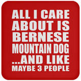 All I Care About Is Bernese Mountain Dog - Drink Coaster
