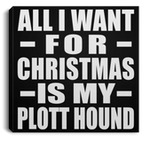 All I Want For Christmas Is My Plott Hound - Canvas Square