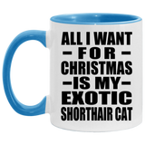All I Want For Christmas Is My Exotic Shorthair Cat - 11oz Accent Mug Blue