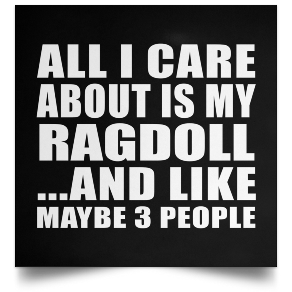 All I Care About Is My Ragdoll - Poster Square