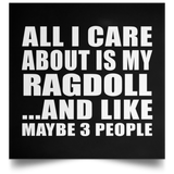 All I Care About Is My Ragdoll - Poster Square