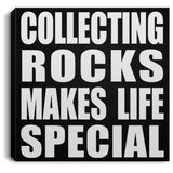 Collecting Rocks Makes Life Special - Canvas Square